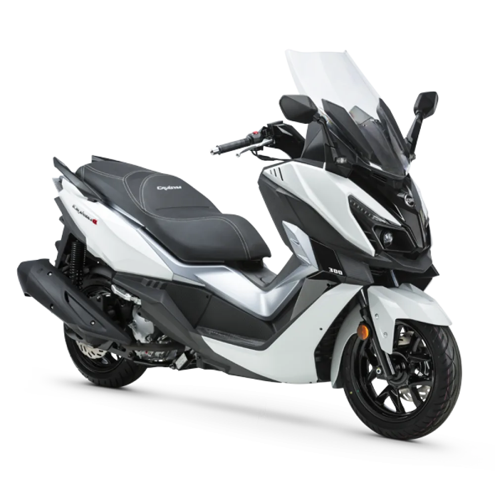 SYM Cruisym Alpha 300cc Palacios Mobility